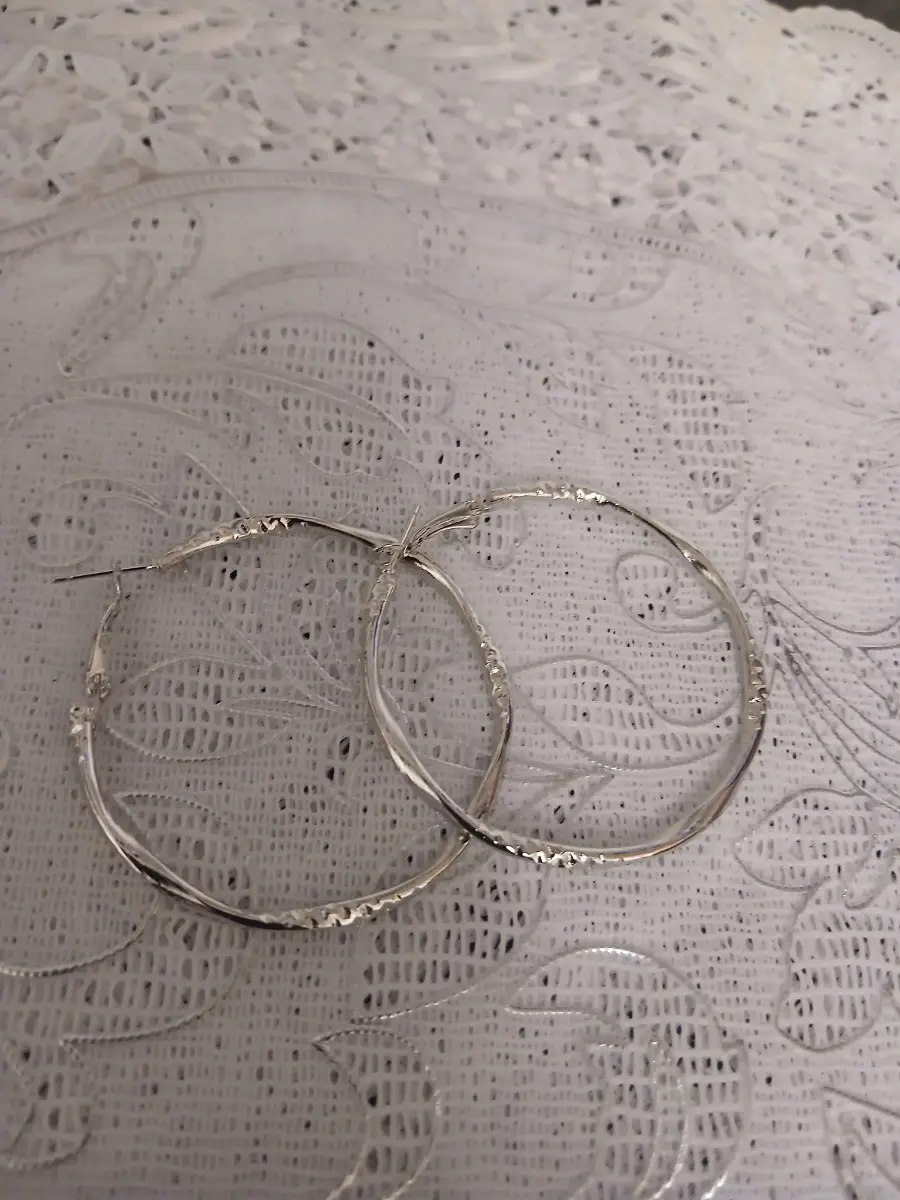 Stainless Steel Hoop Earrings
