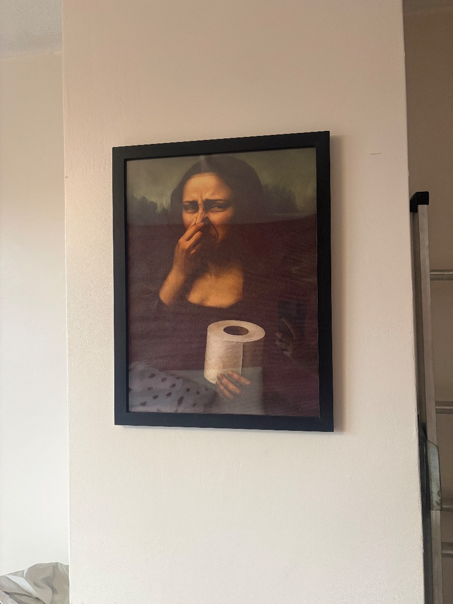 Mona Lisa toilet canvas print (unframed)
