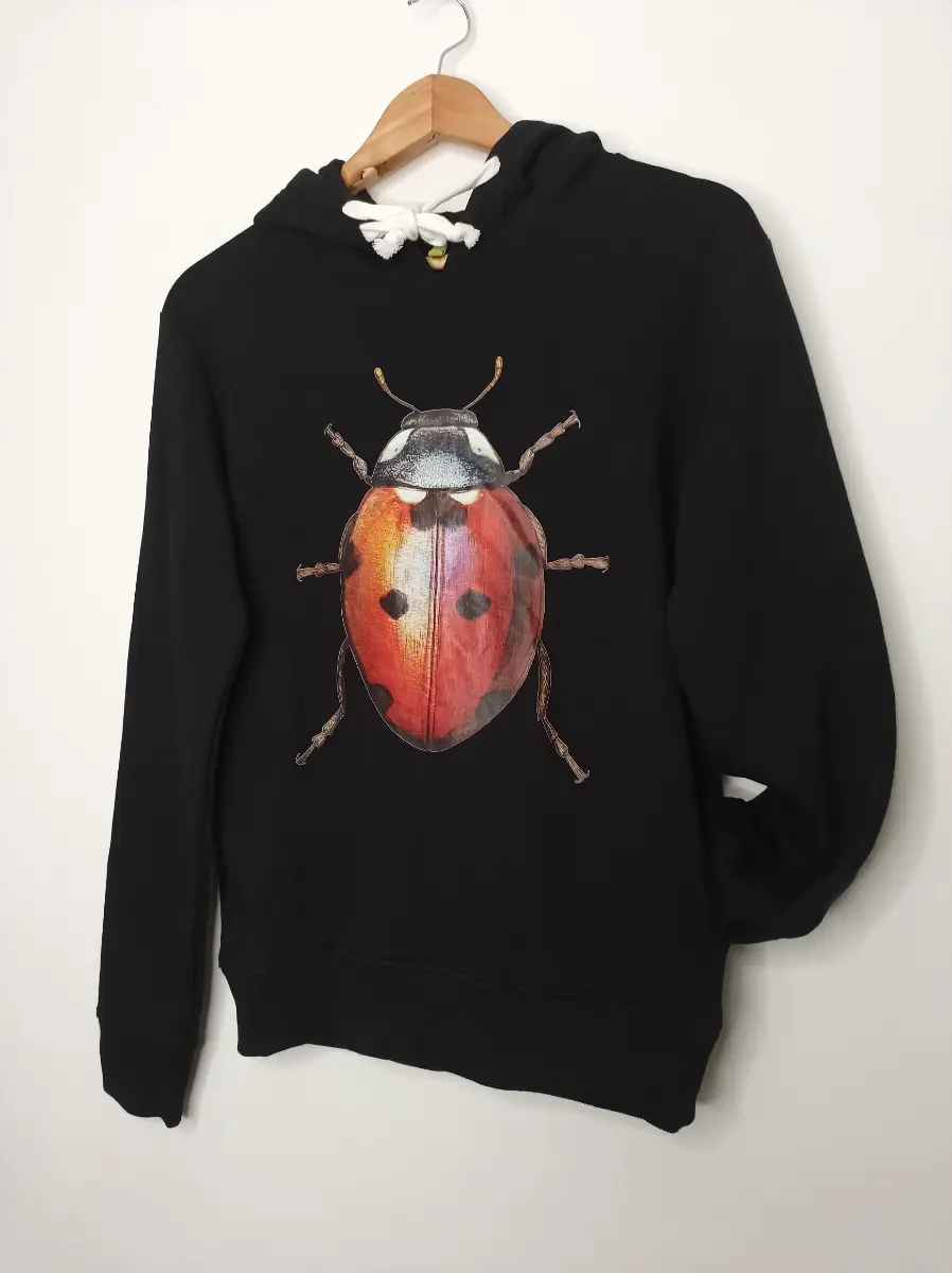 Rapanui Womens Kids Hoodie Birds Can Fly Ladybird Hoodie Black size 12 100% Certified Organic Cotton