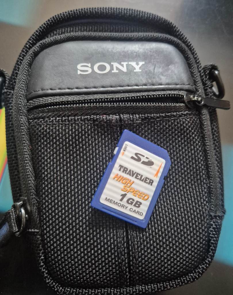1GB SD Card and Sony Y2K digital case!