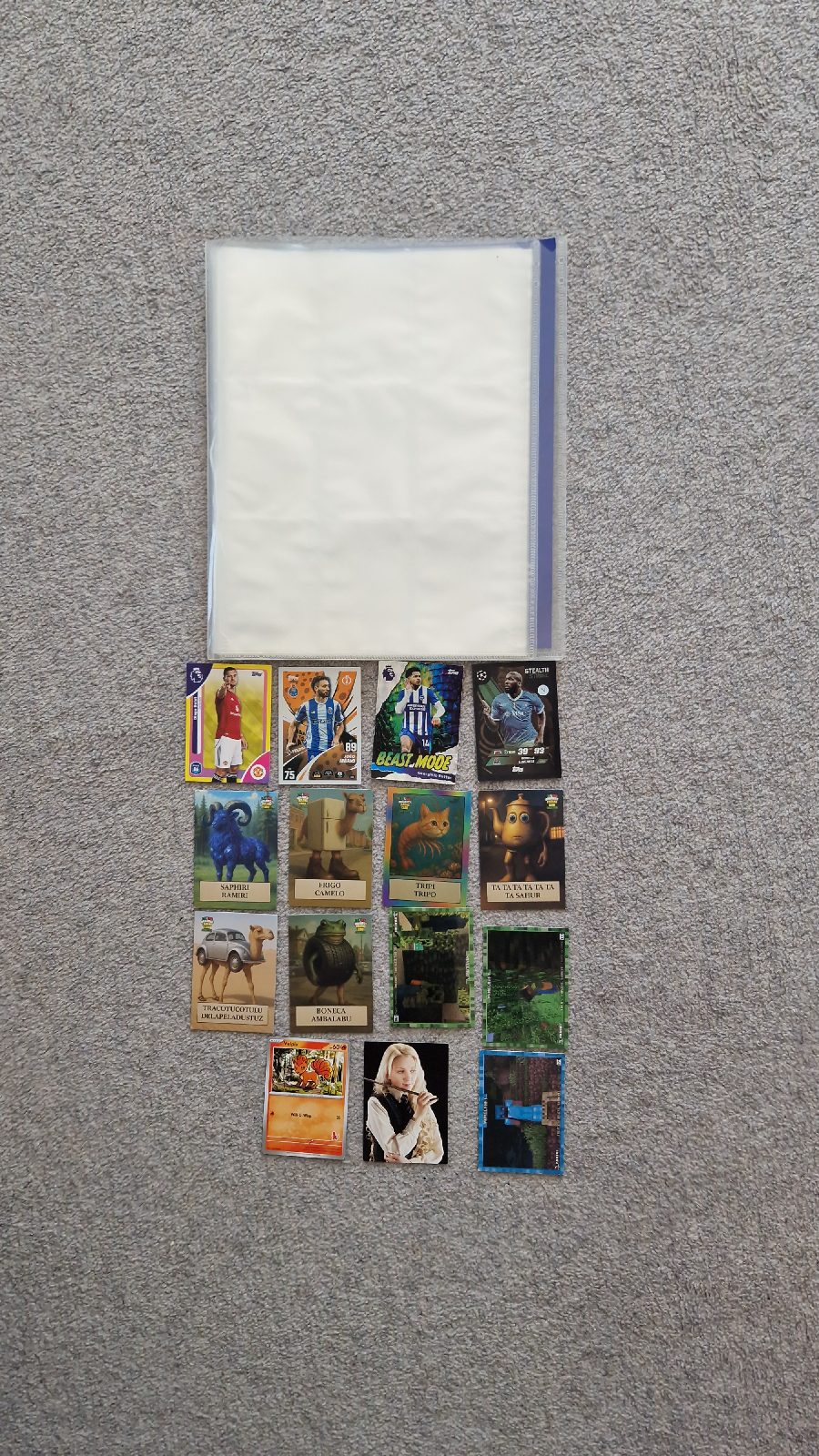 15 Mixed Trading Cards+ Trading Cards Binder/Holder (Football, Minecraft, Brainrot etc
