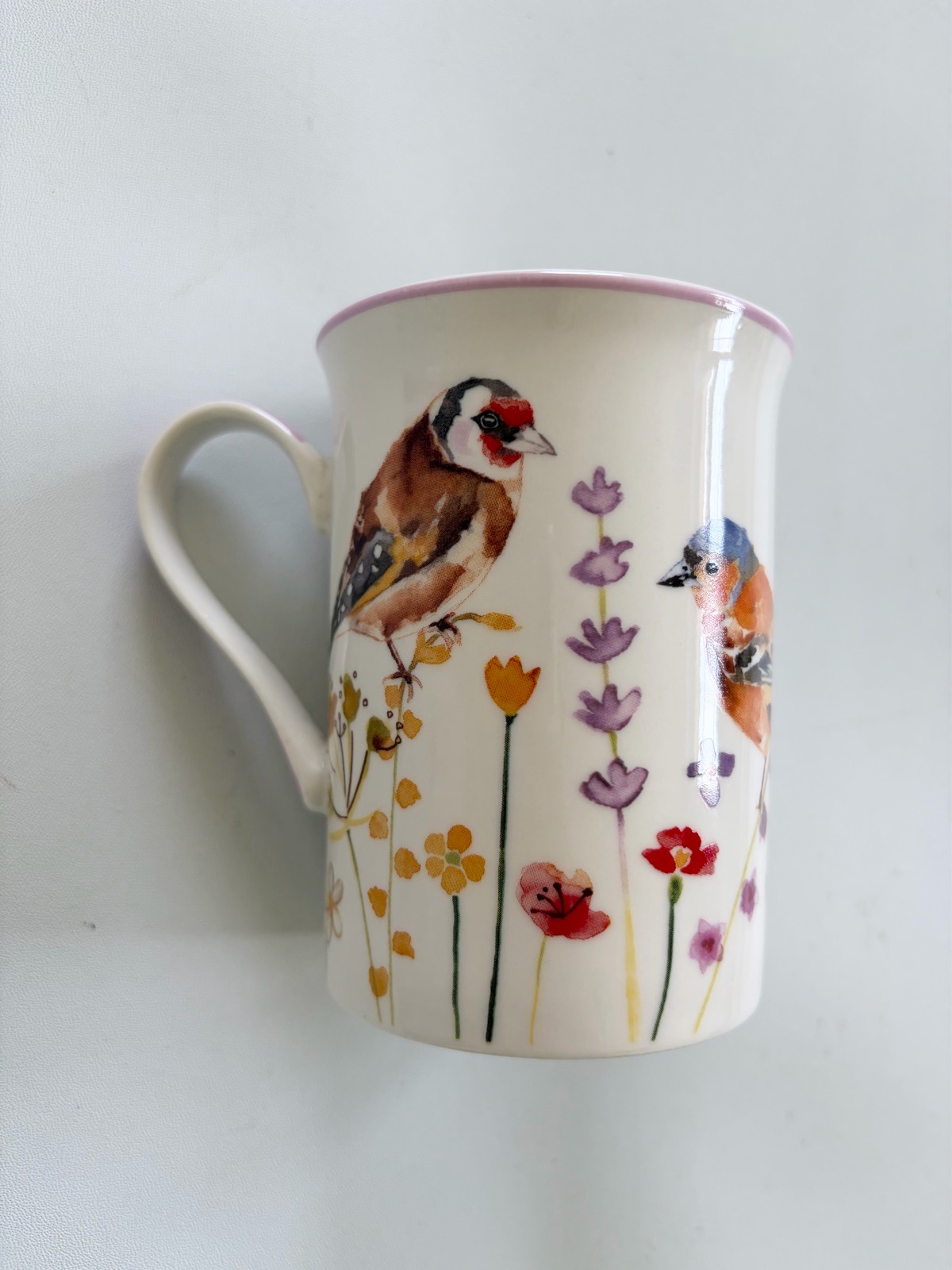 Lesser & Pavey Garden Birds Bird Bring  Fine China Mug Cup