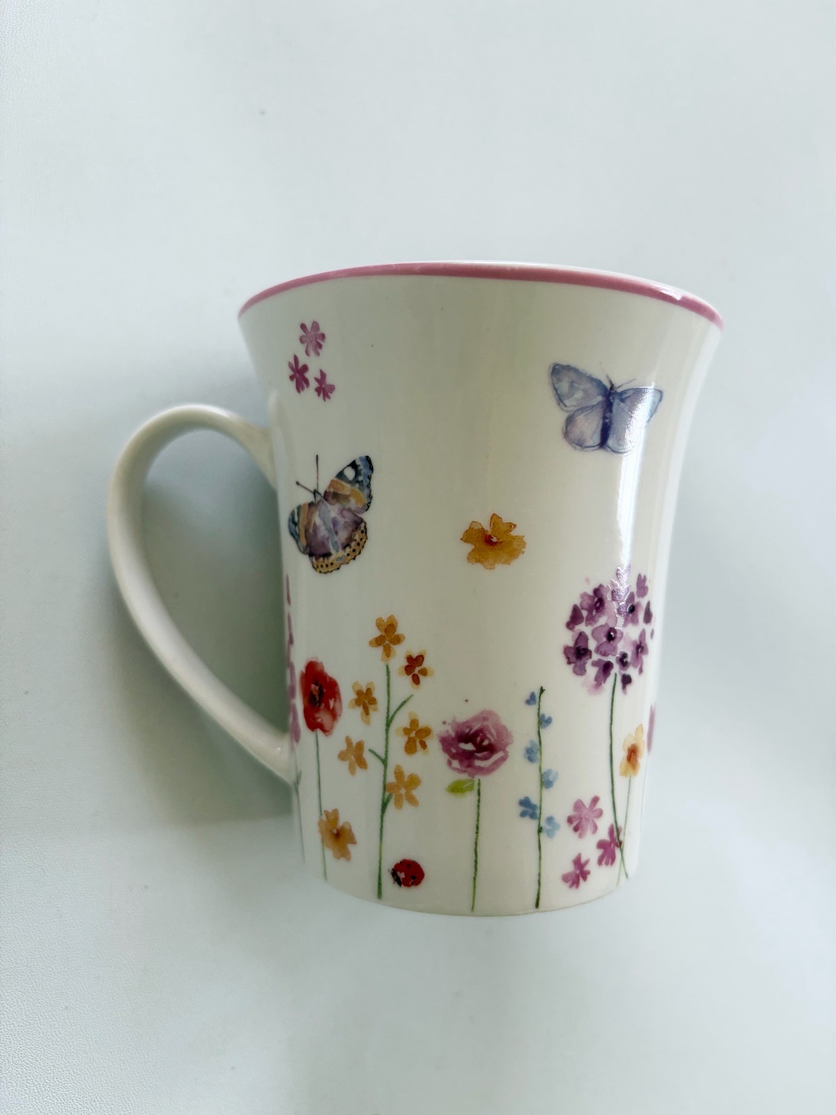Lesser & Pavey Garden Butterfly Garden Fine China Mug Cup