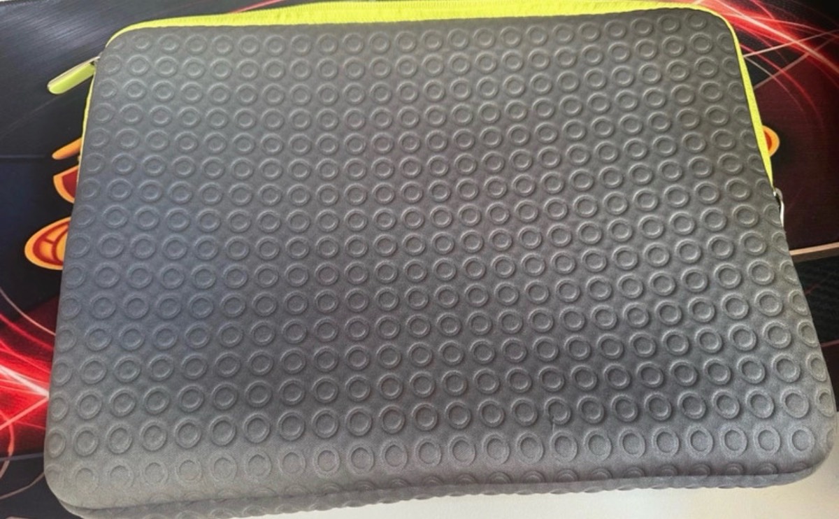 Goji lap top case