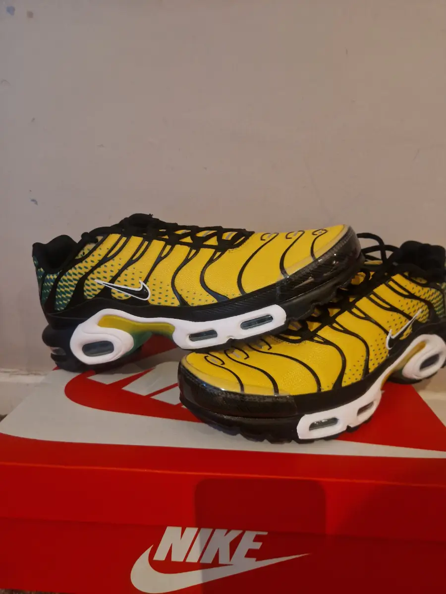 Nike air max tn