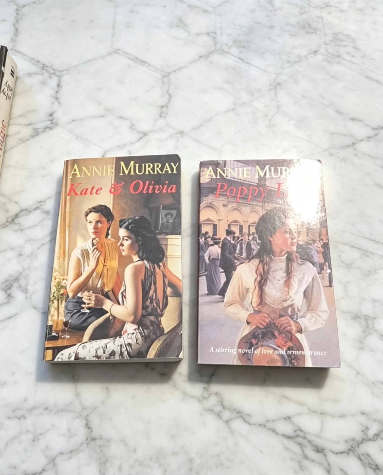 2x Annie Murray Books — Kate & Olivia + Poppy Day | Historical Fiction Paperbacks