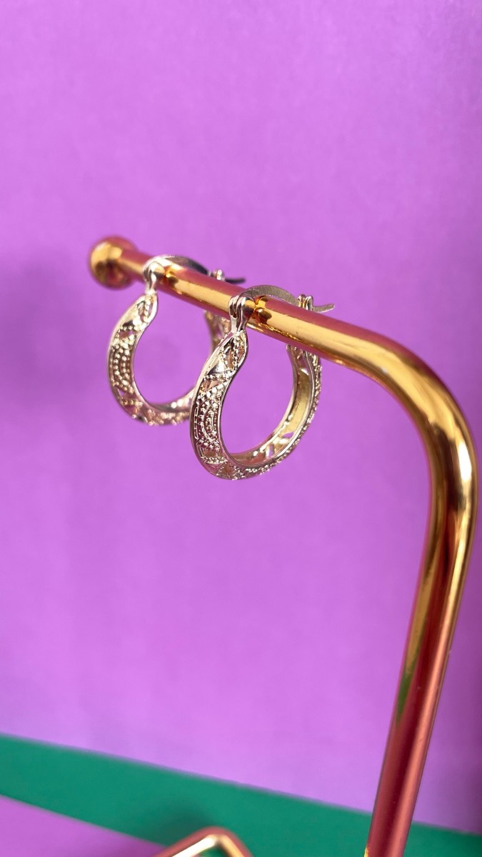 Earrings New