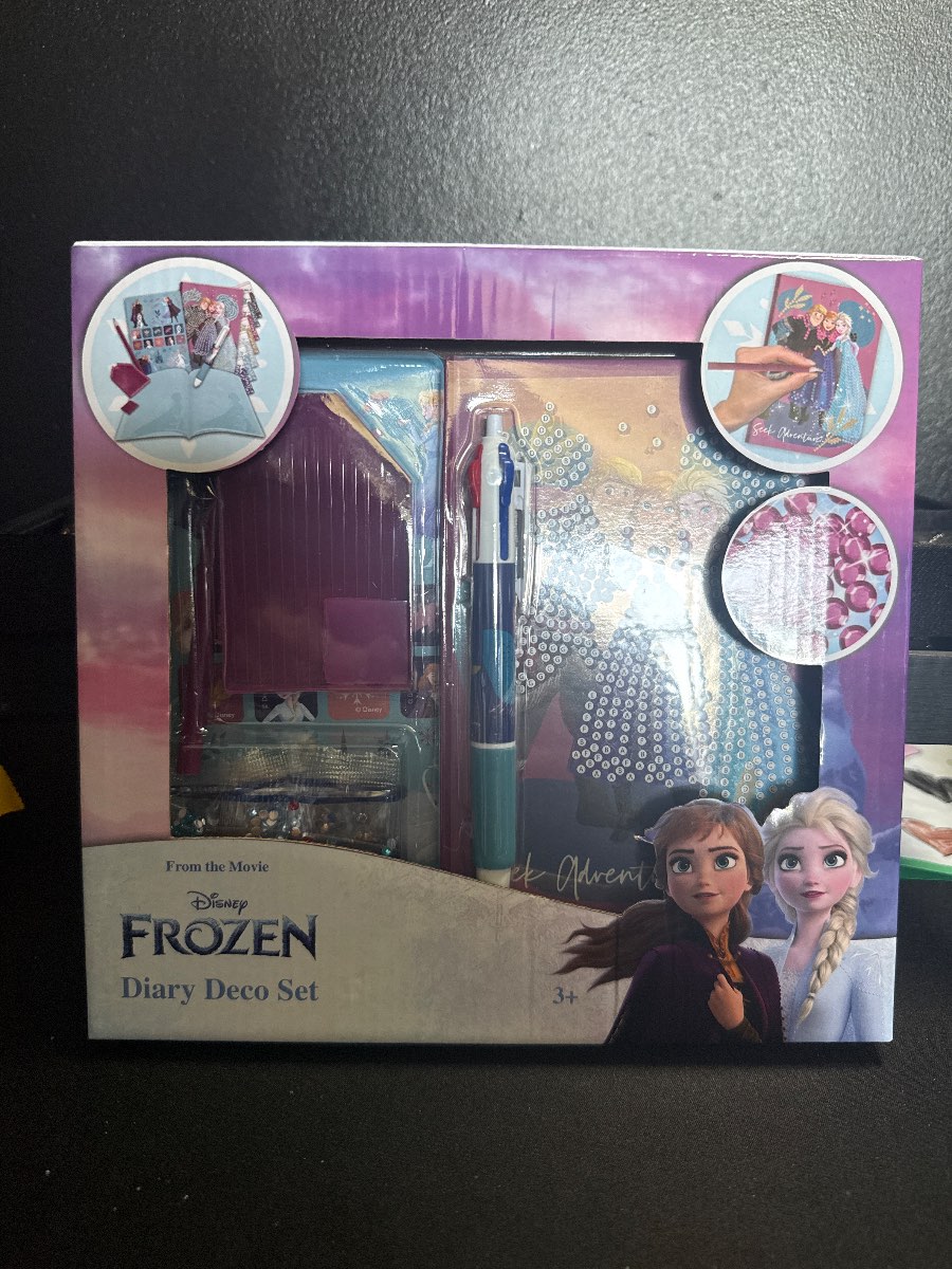 Frozen diary deco set