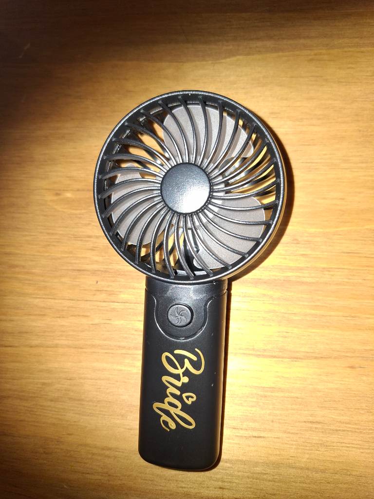 Personalised Bride fan