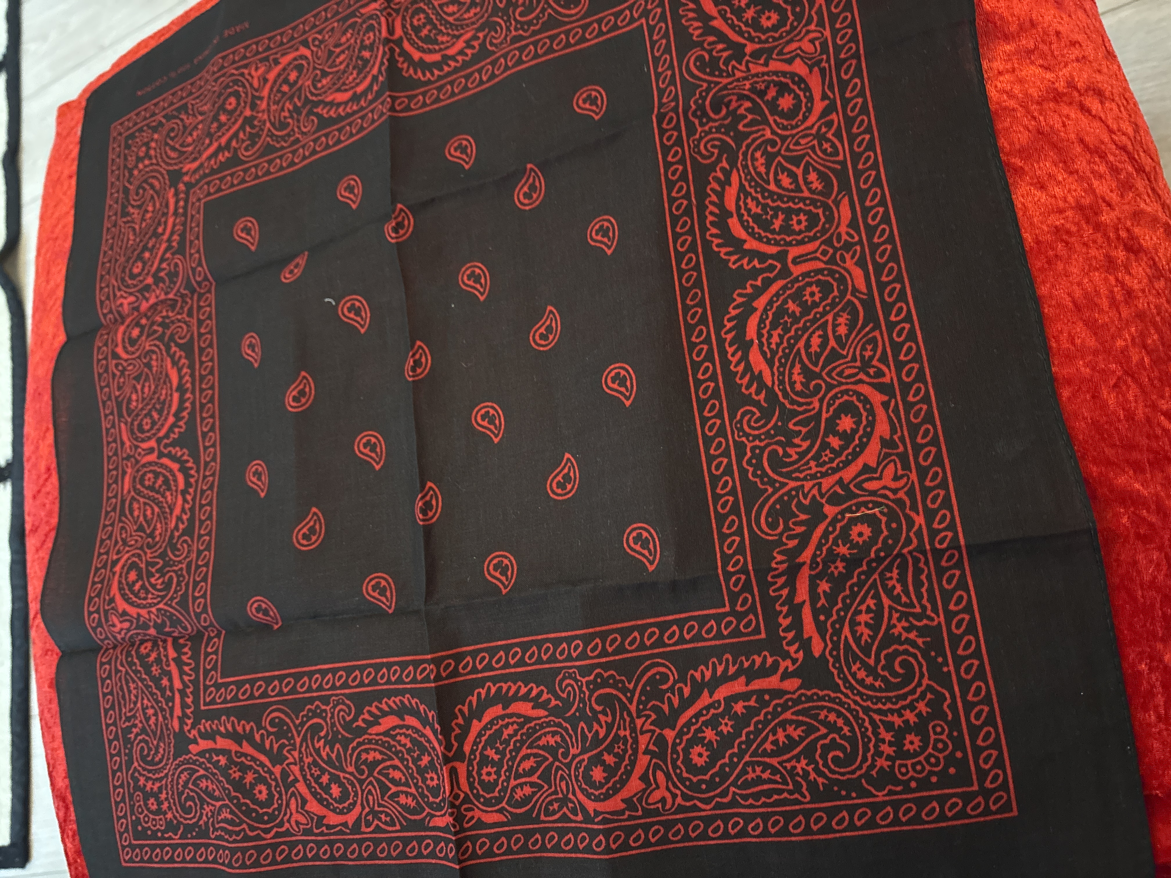 Paisley bandana