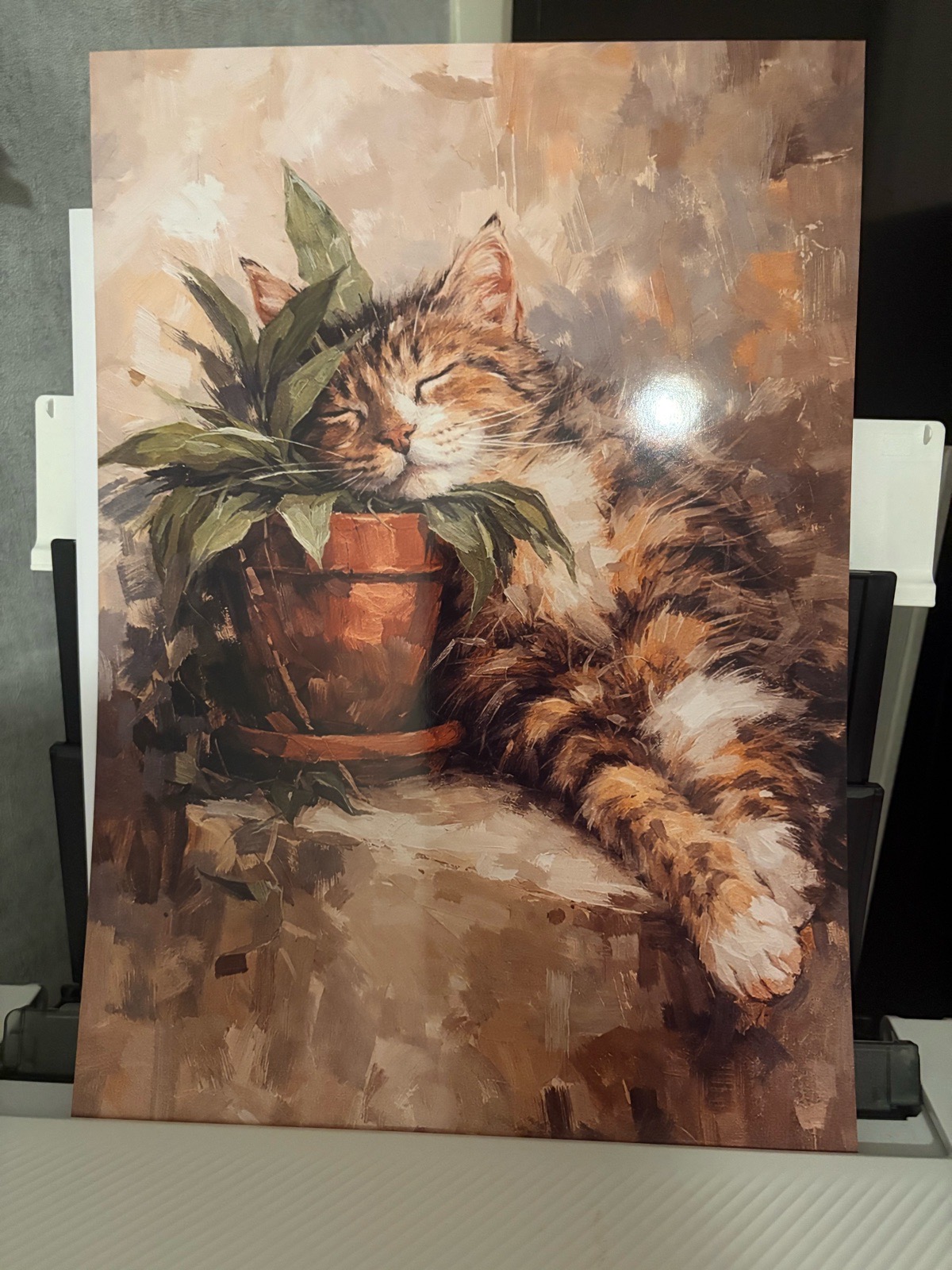 A4 Art Poster Print - Tabby Cat Relaxing