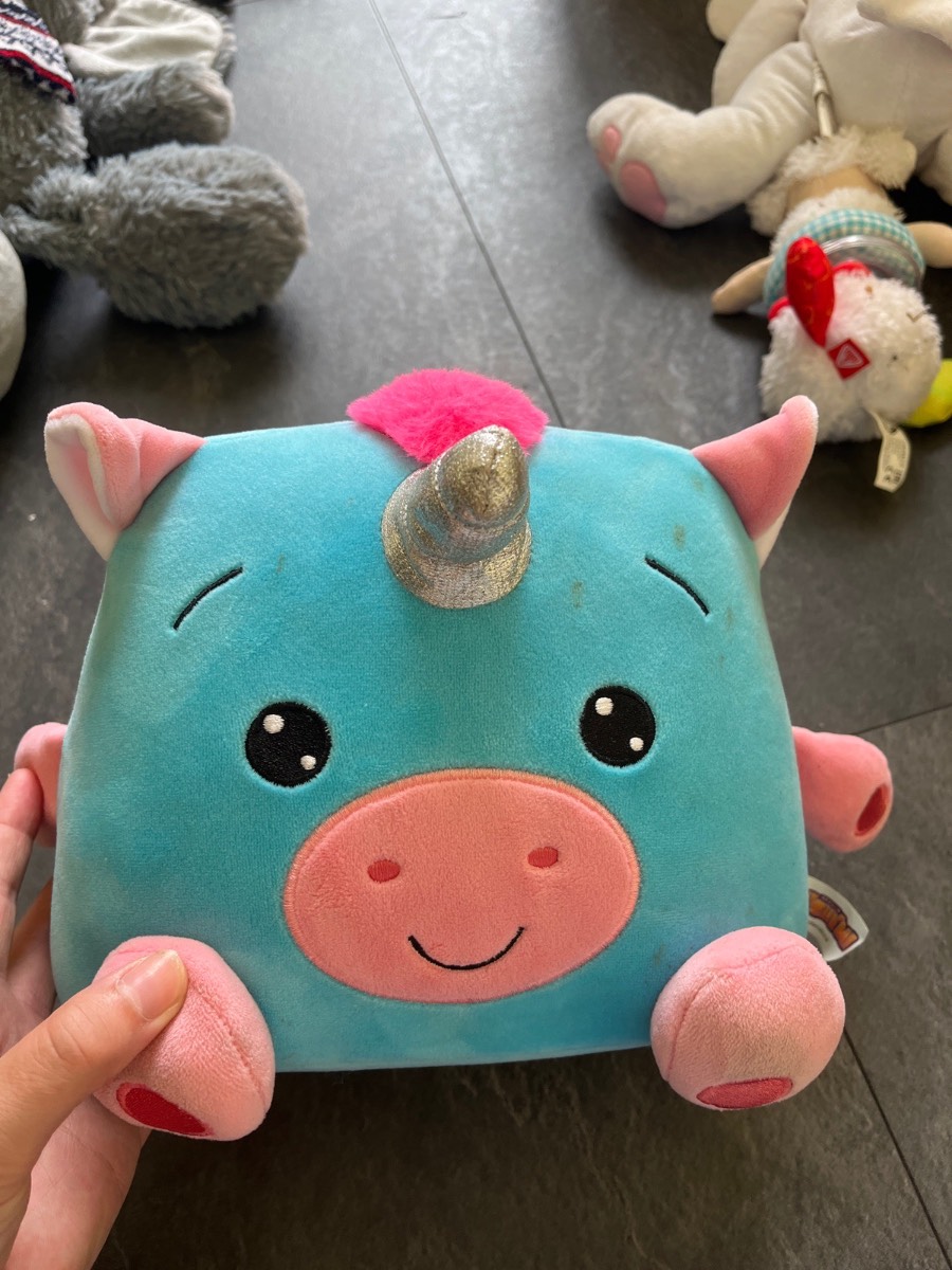 Squishml teddy plushy