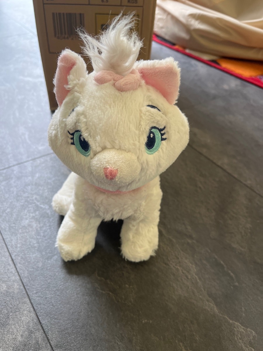Marie Disney cat
