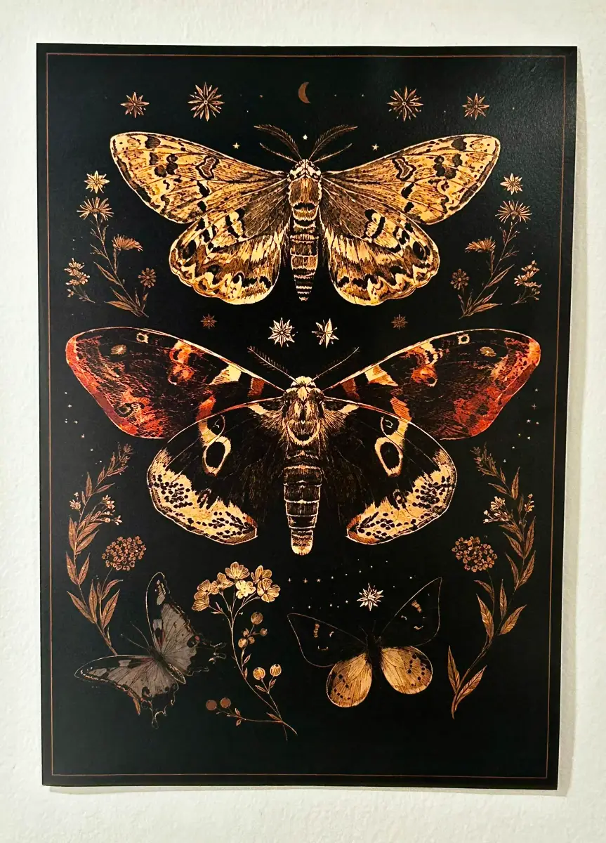 Vintage Moths & Butterflies Print – A4 Unframed Gothic Nature Wall Art | Dark Academia | Entomology