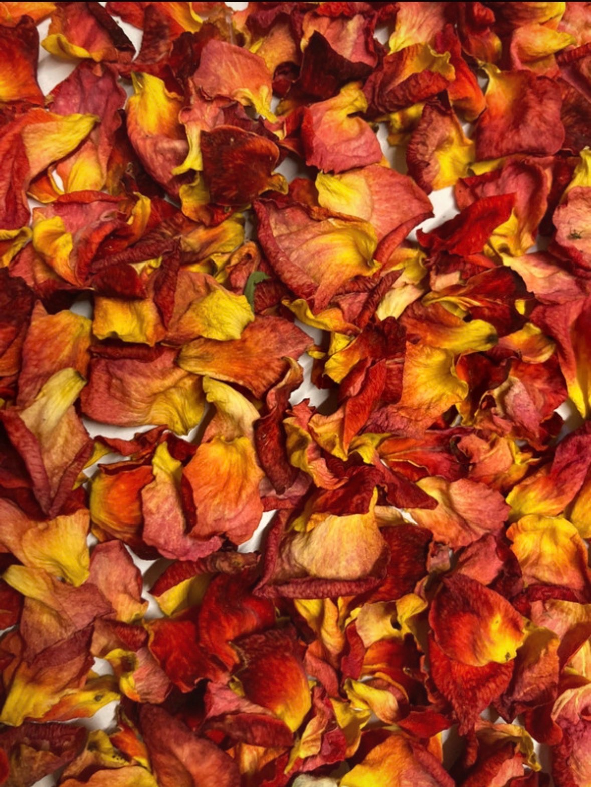 Vibrant Red/Yellow/Orange Confetti Petals