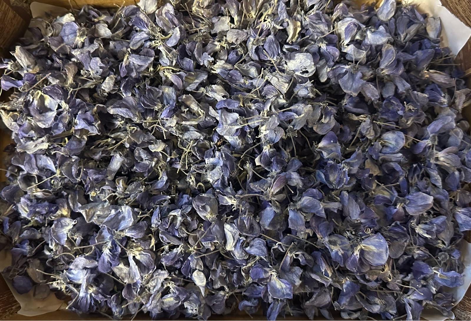 Blue Confetti Petals - 30 Guests