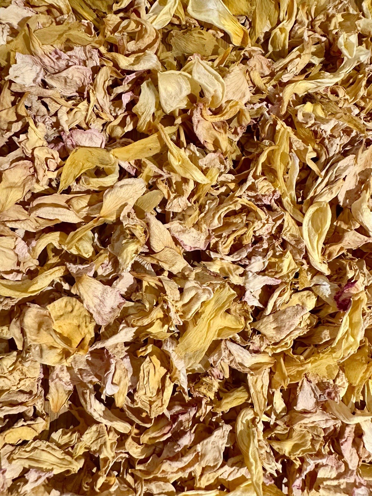 Mixed yellow confetti petals