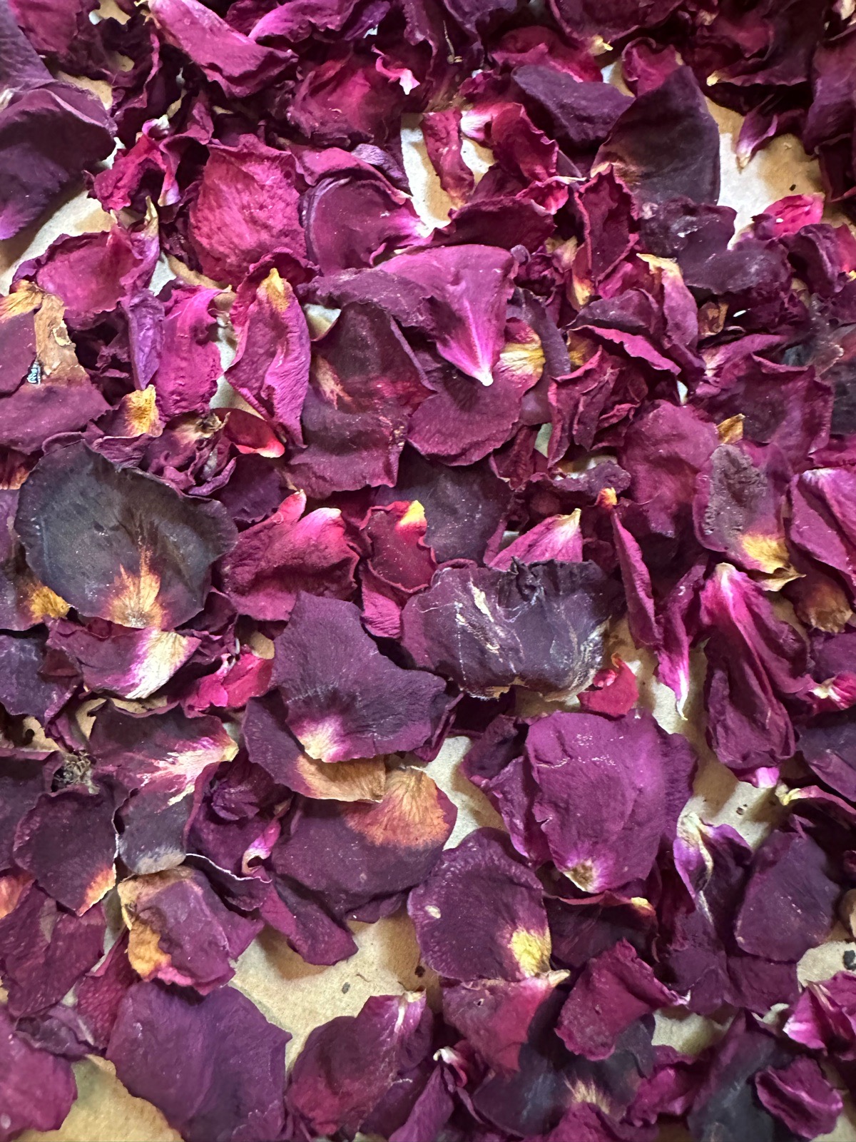 Deep Purple Confetti Petals