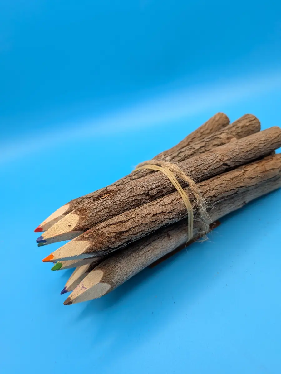 Rustic Natural Wood Coloured Pencil Set Eco-Friendly Branch Pencils Nature Inspired Cute Gift - New