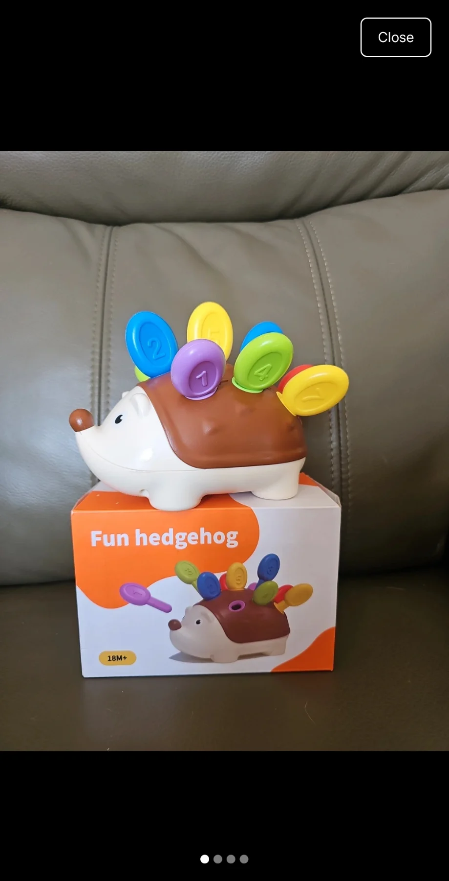 Montessori Hedgehog sorting toy