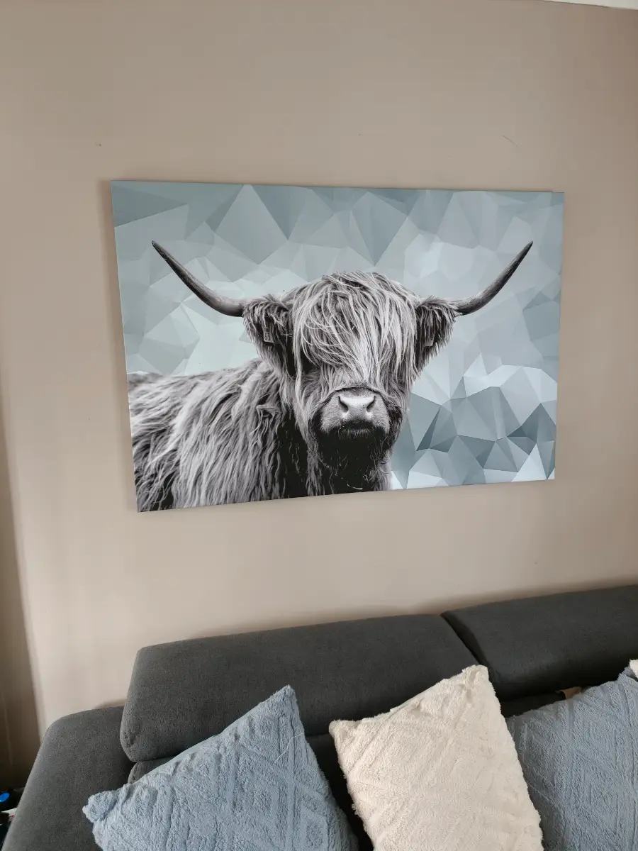 Large highland cow canvas 119x81cm