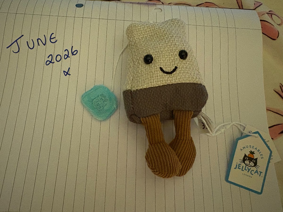 Jellycat Amuseables Steepy Tea Bag RRP:-£25