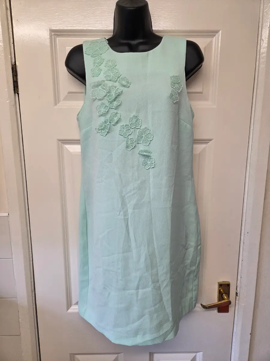 Warehouse Mint Green 3D Floral Applique Shift Dress. Size 10