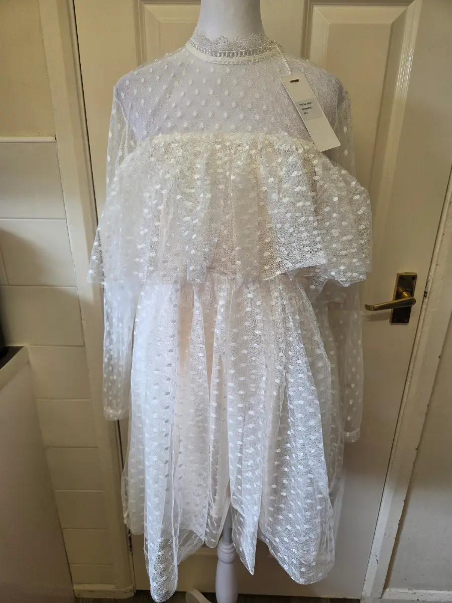 Fanny Lynn White Lace Polka Dot Mesh Mini Dress. Size Large. NWT