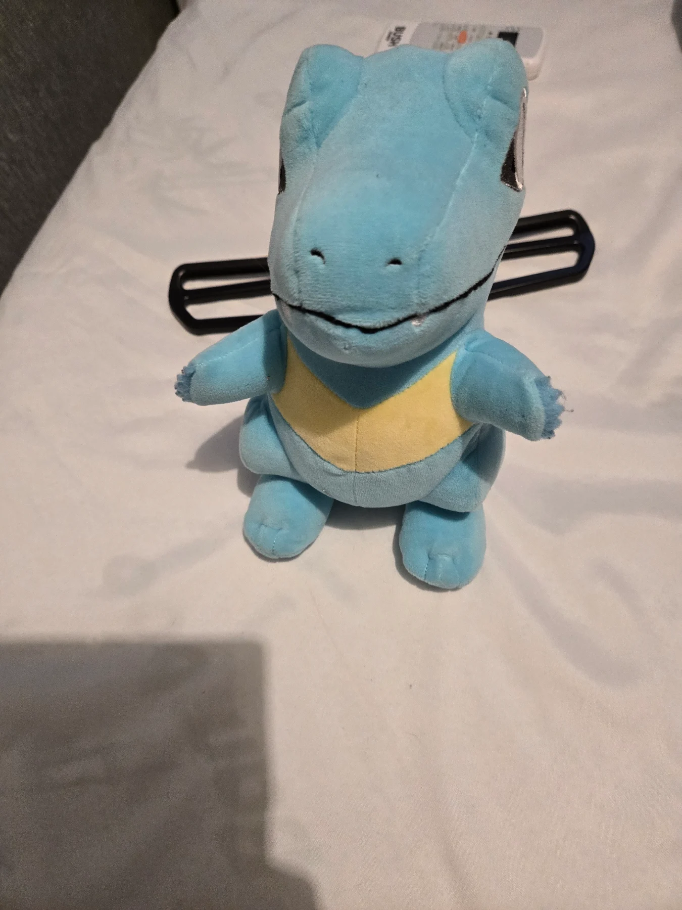 Pocket on plush