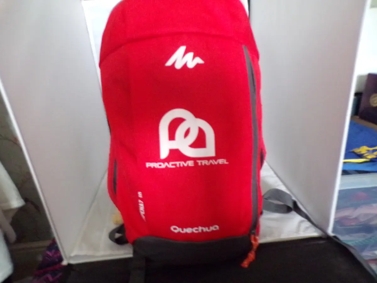 Pro Active Arpenaz 10 ltr day sac