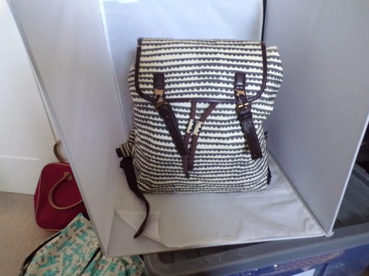 Vintage Ladies Backpack