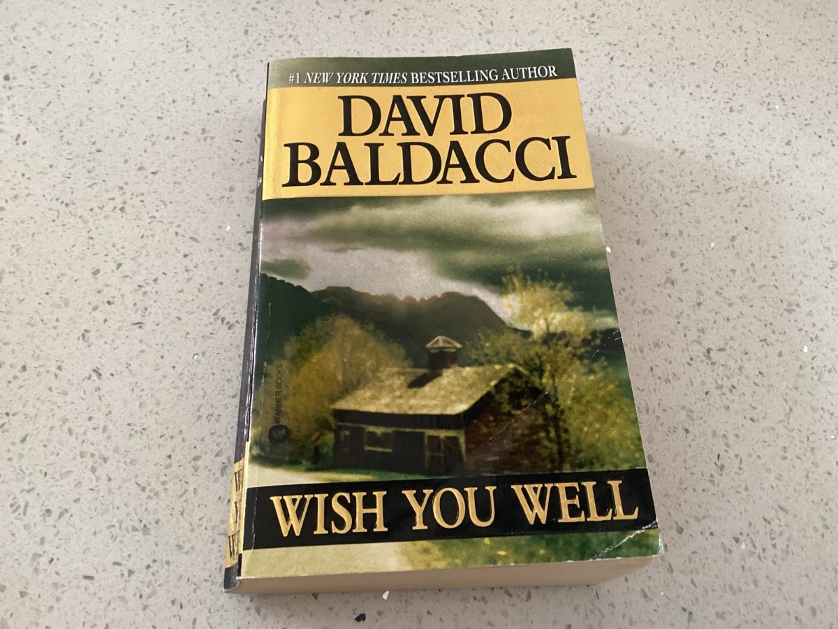 David Baldacci Paperback Wish You Well