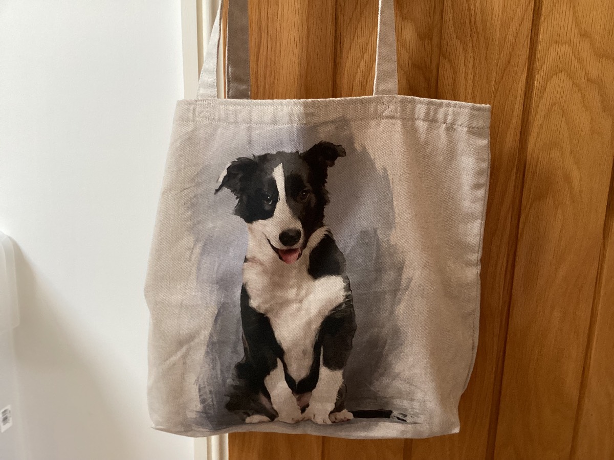 Super Cute Tote/Shopping Bag, Lined, Featuring a Gorgeous Black & White Collie/SheepDog