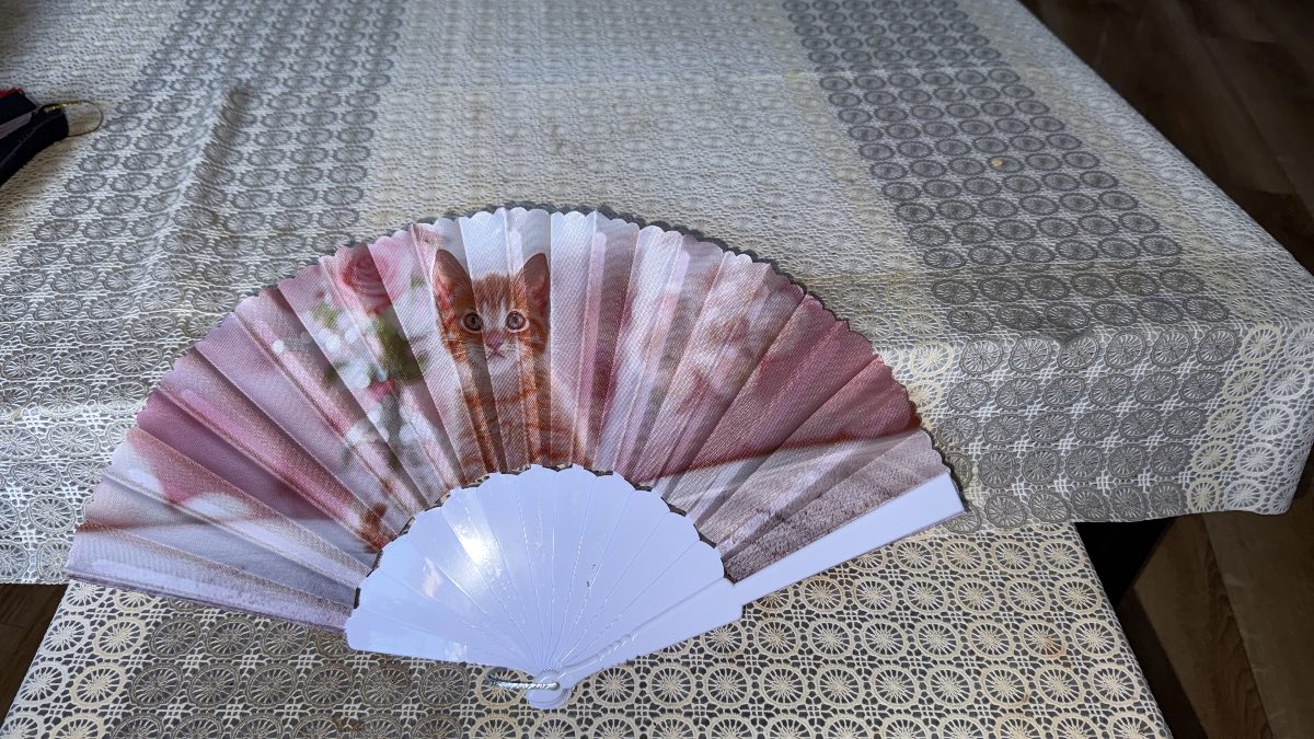 Cat pattern fan