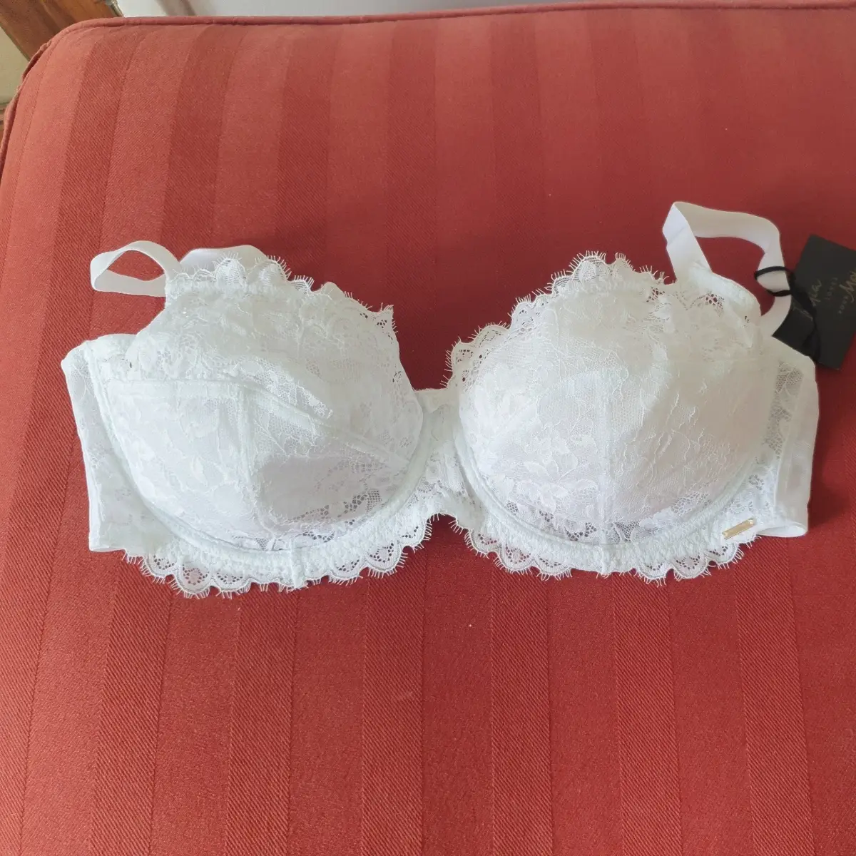 Pour Moi India Eyelash White Laced Bra 38E Underwired Unpadded Full Cup Bra BNWT