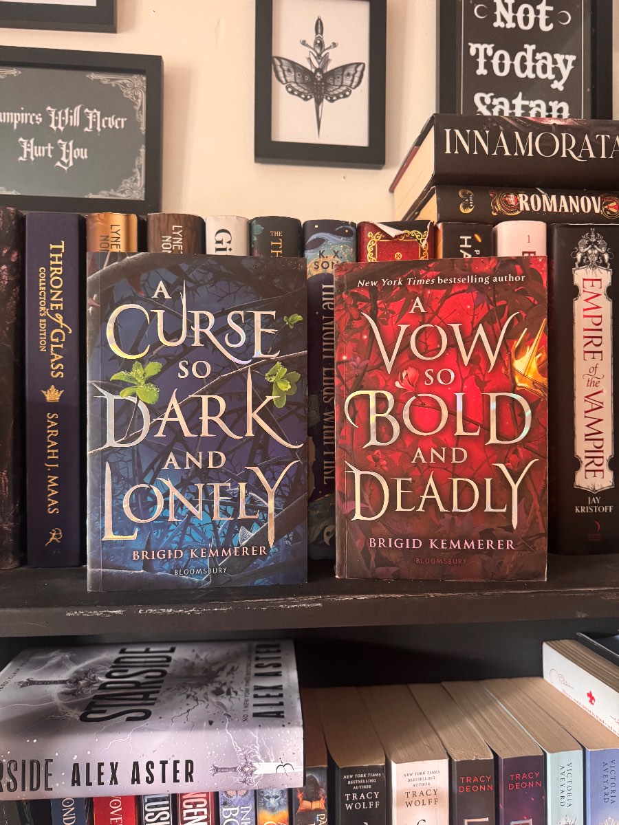 A Curse So Dark and Lonely by Brigid Kemmerer | Paperback | Cursebreaker Book 1 | YA Fantasy