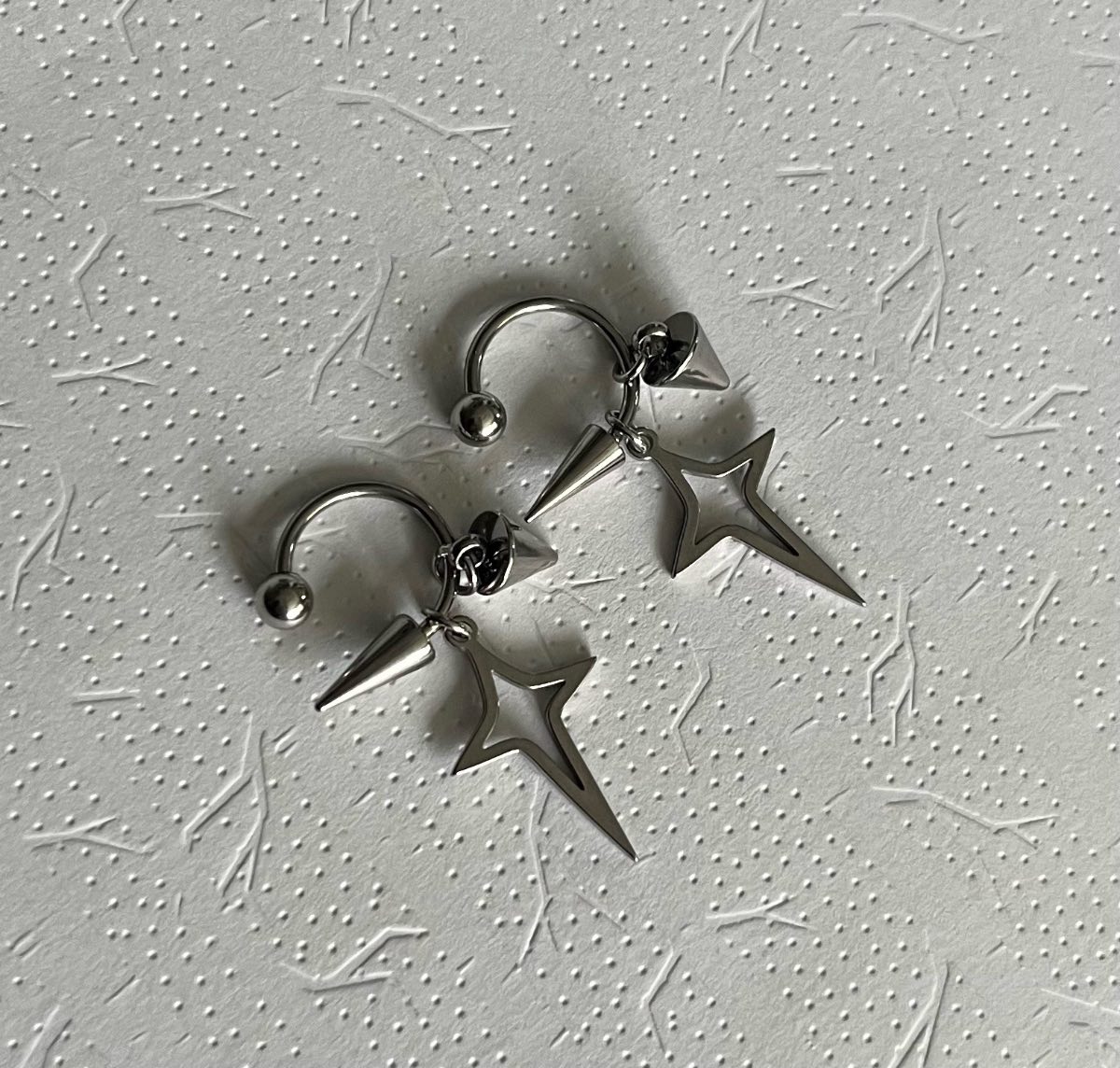 Stainless steel earrings