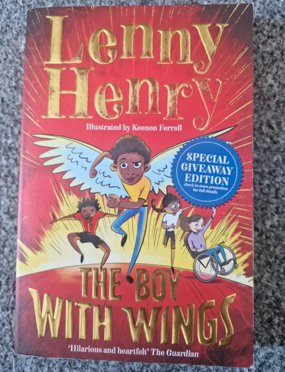 The boy with wings book like new condition