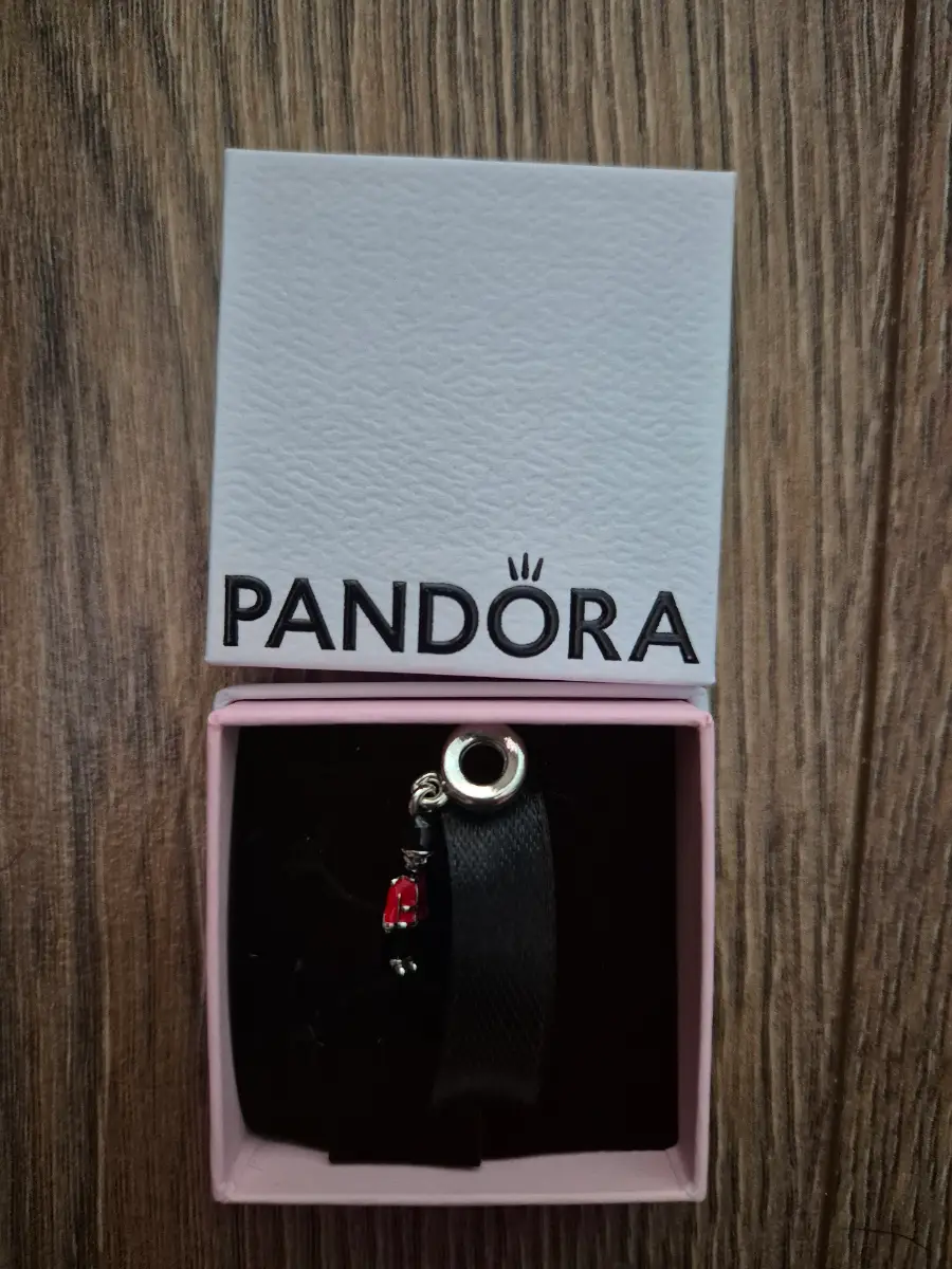 Pandora soldier charm