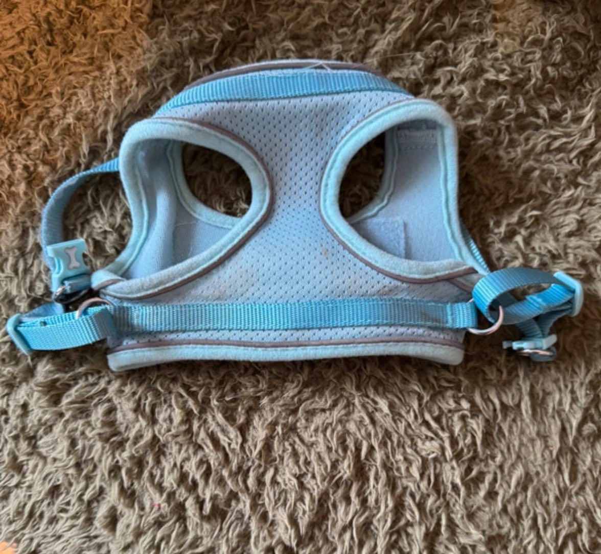 Pets at home puppy harness