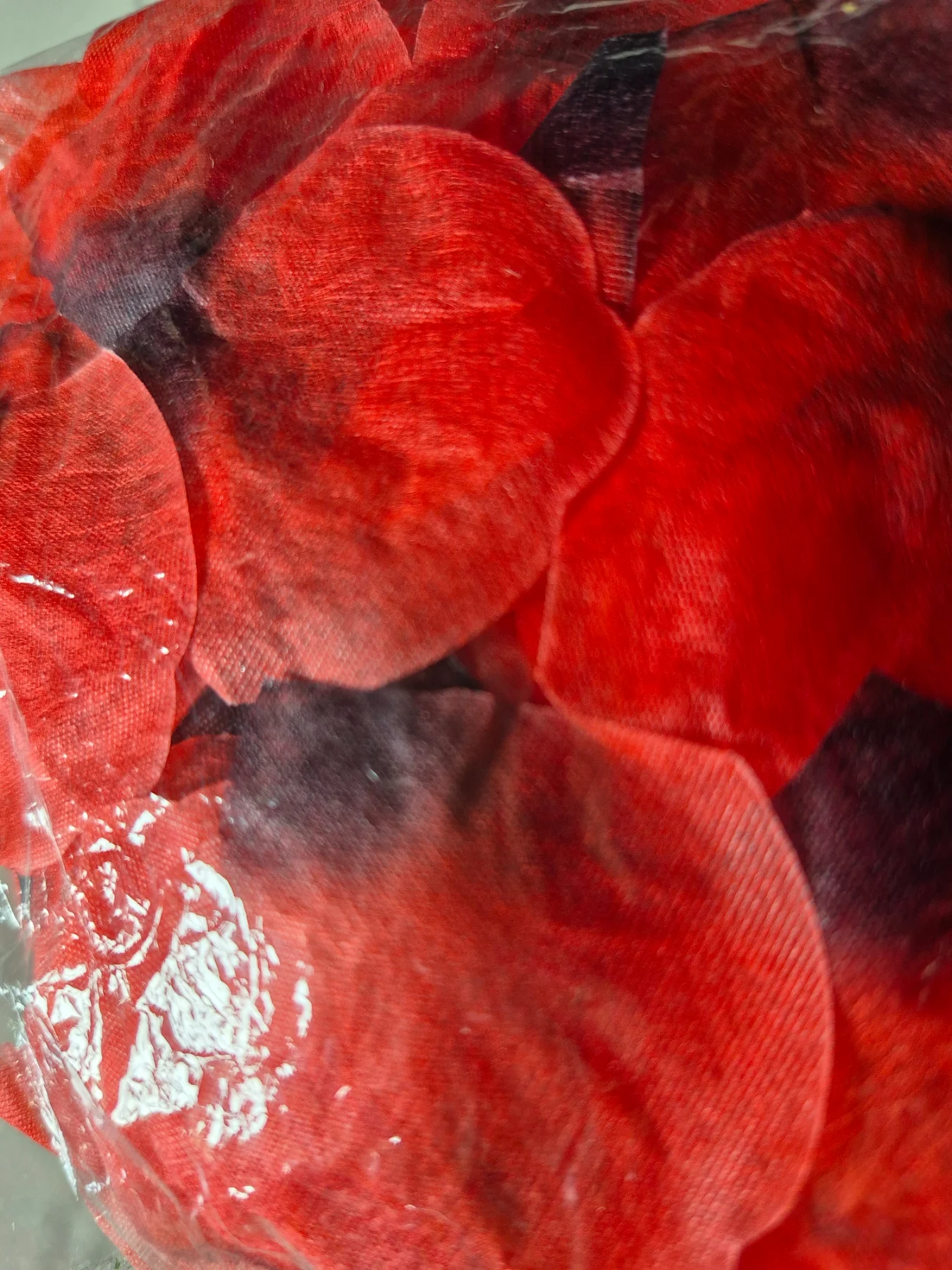 Confetti petals x100