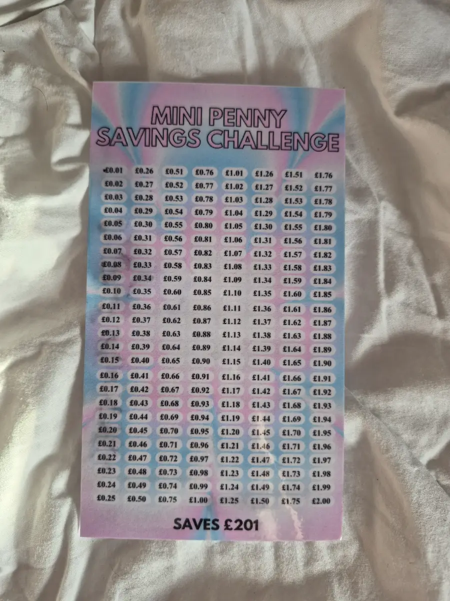 Bundle of 2 Penny Savings Challenge Trackers (£201 & £50.50)