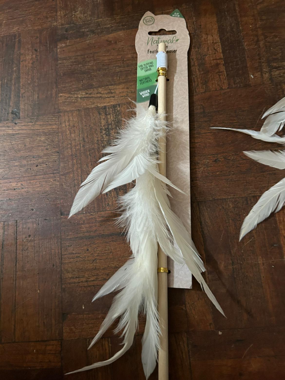 Feather Cat Teaser