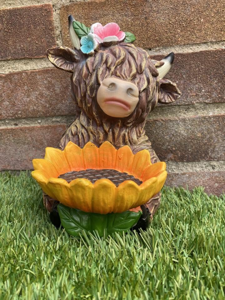 Highland Cow Bird Bath - Solo Coo