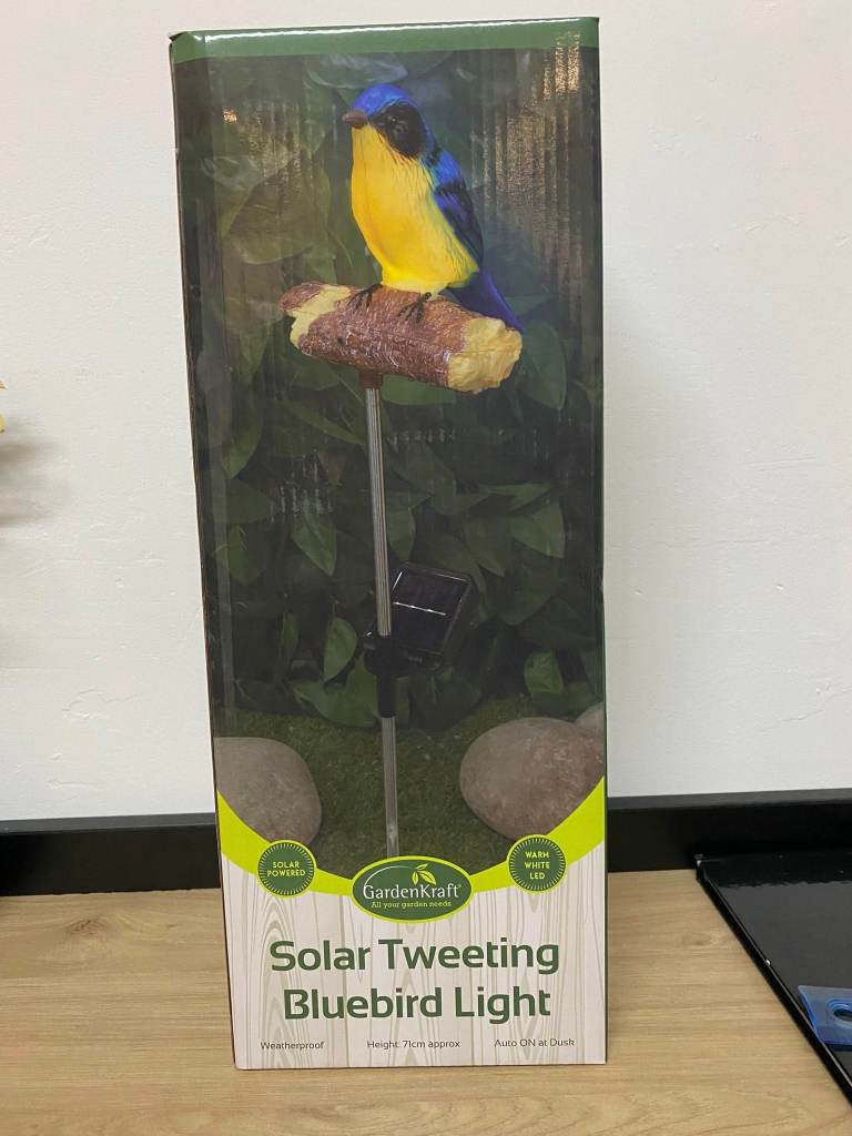 Tweeting Bluebird