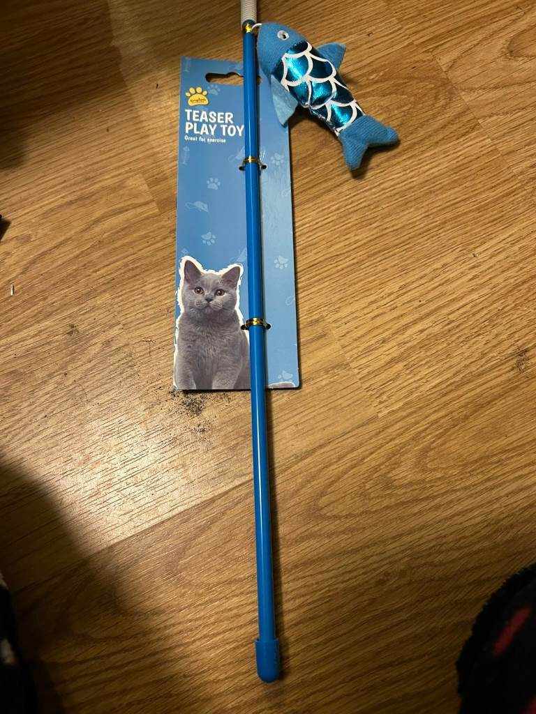Cat Teaser Play Toy