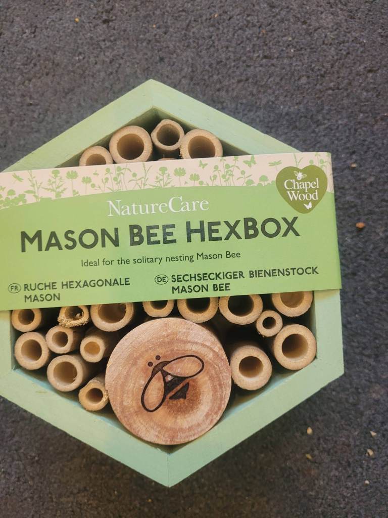 Mason Bee HexBox