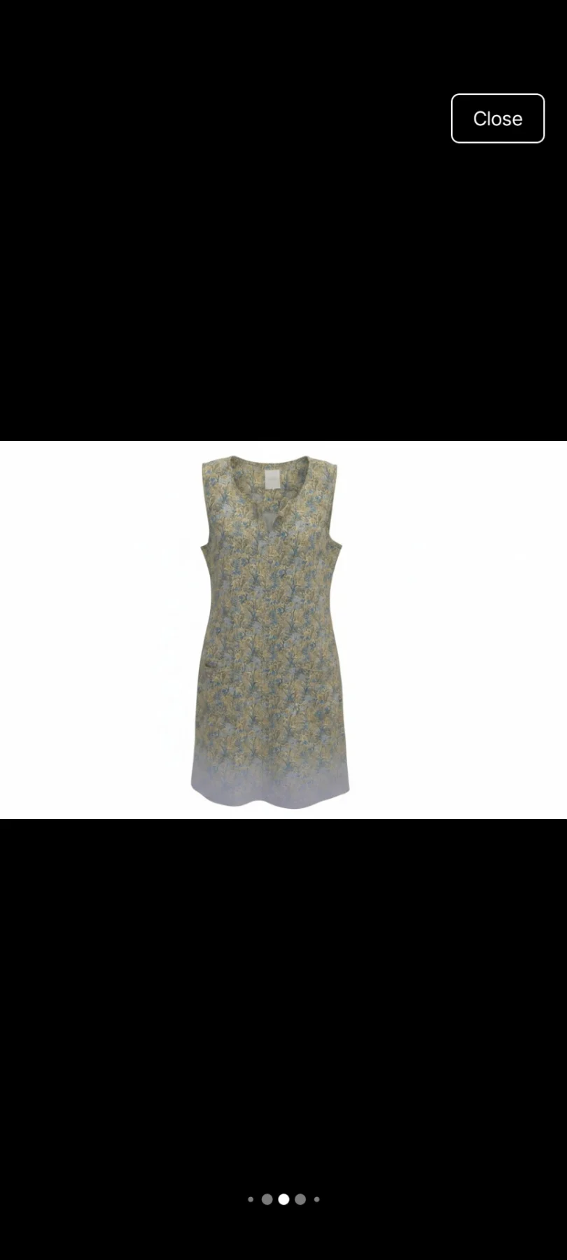 Vintage dress