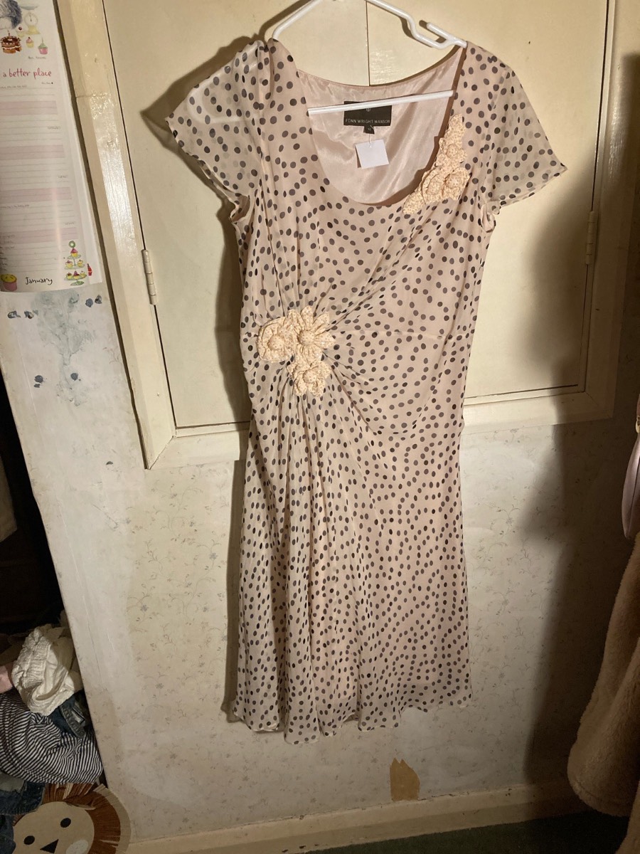 Stunning Fenn Wright Manson silk dress. 12.