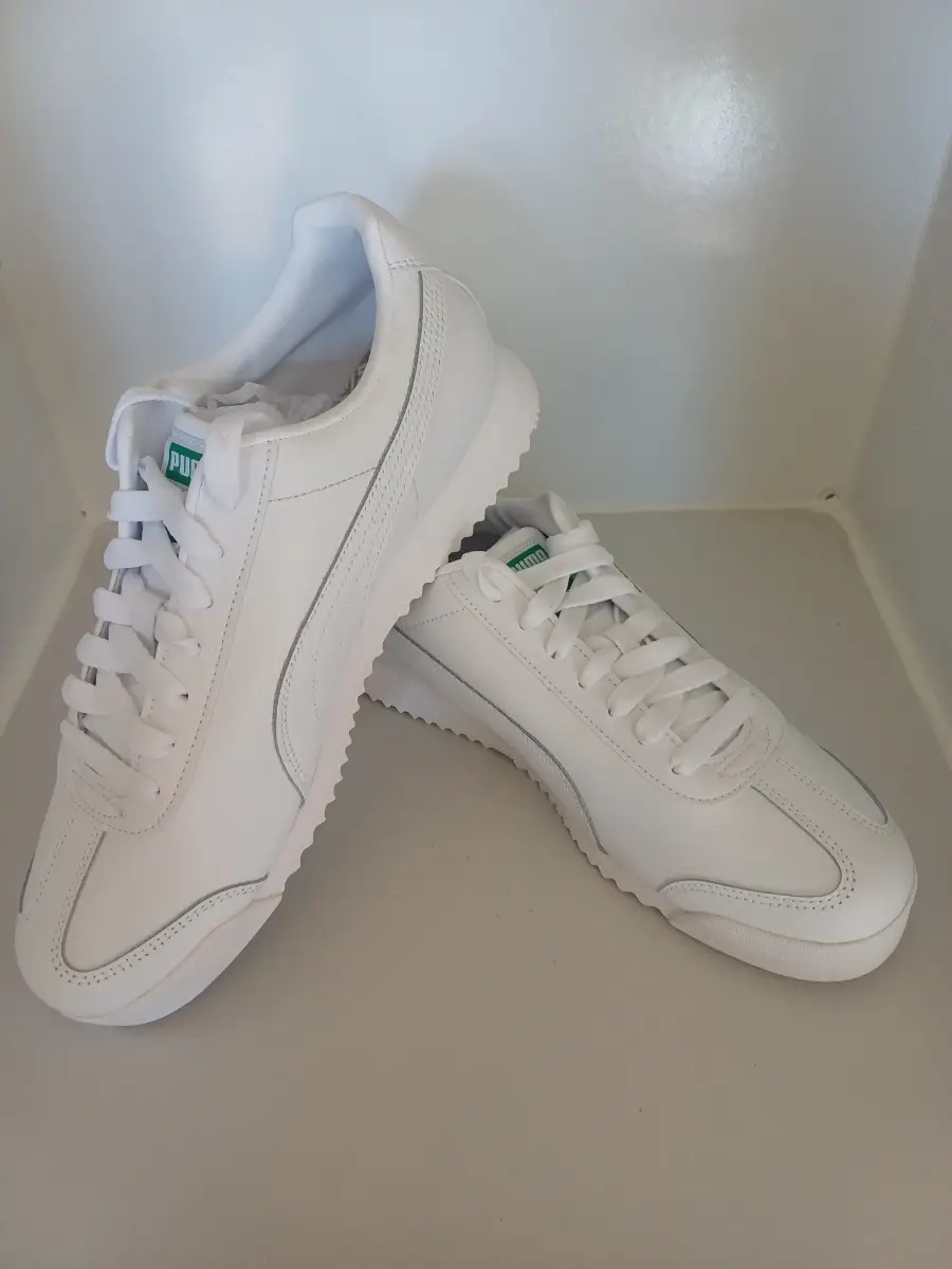 Puma roma